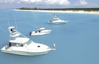 Awesome Sport Fishing Boat Half Day Charter in The Bight Settlement, Caicos Islands