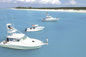 Half Day Deep Sea Fishing Charter on "Angler Management" Turks & Caicos Islands