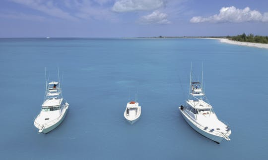 Half Day Deep Sea Fishing Charter on "Angler Management" Turks & Caicos Islands