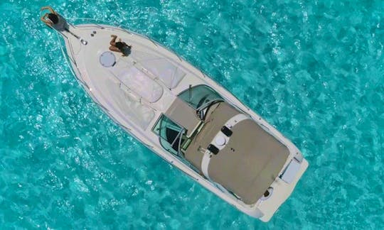 36Ft. Beautiful Yacht for 10 pax in Cancún, Quintana Roo