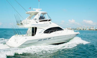 ⚓️ MARIETAS - Luxury 44" Sea Ray in Puerto Vallarta