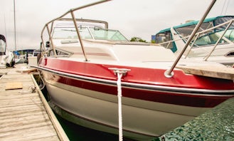 Sea Ray Weekender Bowrider Rental in Chicago, Illinois