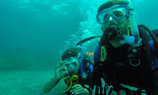 Open water diver certifications PADI instructor