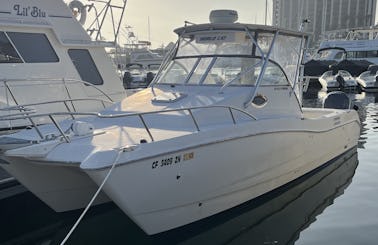 San Diego Fishing Charter For Beginners or Experts!