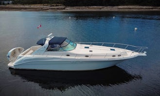 Luxury 50’ SeaRay Motor Yacht Rental in Downtown, Toronto