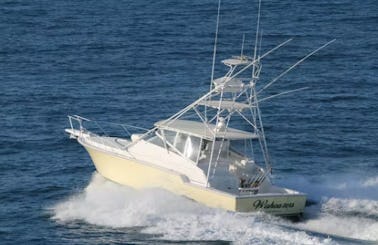 Full Day Deep Sea Fishing Charter in Caicos Islands, Turks and Caicos Islands