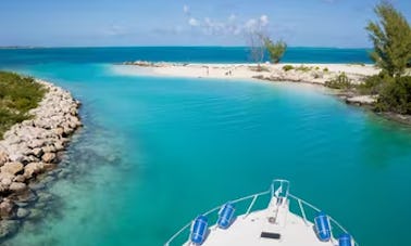 Croisière de pêche au récif d'une demi-journée sur les îles Turques-et-Caïques « Shady Grady »