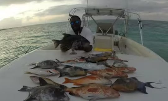 Croisière de pêche au récif d'une demi-journée sur les îles Turques-et-Caïques « Shady Grady »