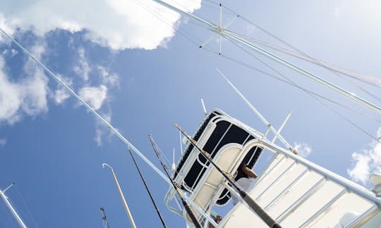 Croisière de pêche au récif d'une demi-journée sur les îles Turques-et-Caïques « Shady Grady »