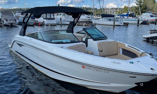 ✅⚓️✅ SeaRay de luxo de 30 pés com sistema de som surround atualizado//Capitão incluído!