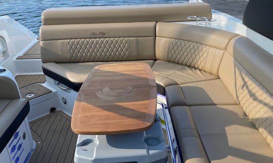 ✅⚓️✅ SeaRay de luxo de 30 pés com sistema de som surround atualizado//Capitão incluído!