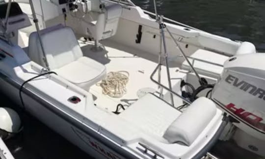 Alquiler de medio día | Dauntless Boston Whaler de 20 pies en Hyannis Harbor, Massachusetts - Cape Cod