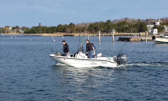 Alquiler de medio día | Dauntless Boston Whaler de 16 pies en Hyannis Harbor, Massachusetts - Cape Cod