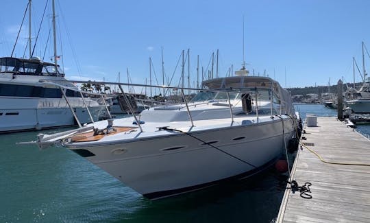 Sea Ray 460 Express Cruiser Motor Yacht Rental in Puerto Vallarta, Jalisco