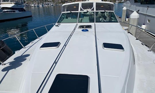 460 Sea Ray Sundancer, Casual Yacht cruiser in Puerto Vallarta