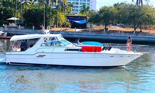 Sea Ray 460 Express Cruiser Motor Yacht Rental in Puerto Vallarta, Jalisco