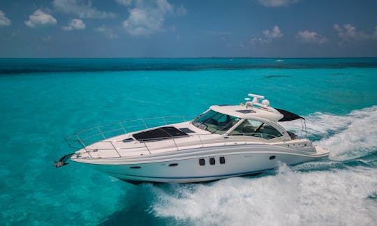52ft Searay Mega Yacht Rental in Miami Beach, Florida