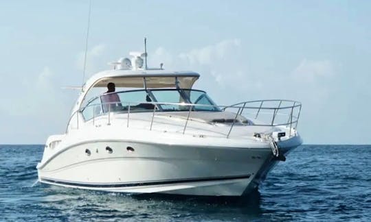 Searay 42 Private Motor Yacht From Casa De Campo Marina To Saona/palmilla Island