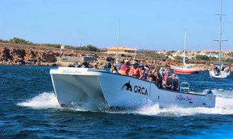 Catamaran Charter Coastal trips in Sagres, Algarve