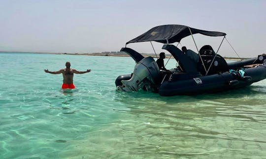 Speedboat Dolphin Watching and Snorkeling in Hurghada, Egypt