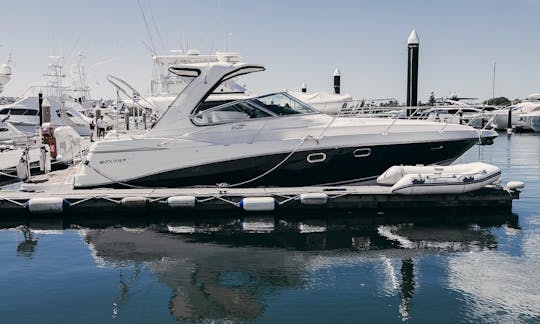 Magnifique yacht à moteur de luxe de 42 pieds au centre-ville de Toronto 