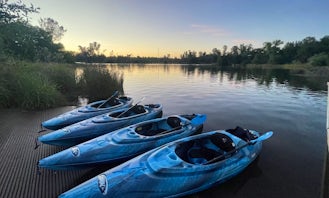 Group Kayak Rentals DELIVERED to Folsom Lake and Lake Natoma