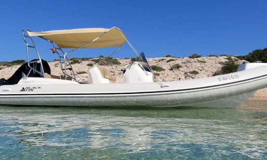 Black Fin Elegance 8 RIB Rental in Eivissa, Illes Balears