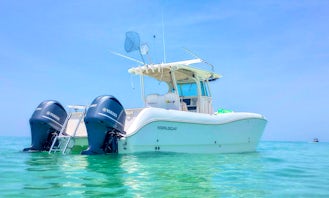 32ft World Cat 320CC Power Cat Rental in Madeira Beach, Florida with Subwing and ice/coolers included!!
