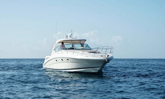 Sea Ray 42 Motor Yacht Charter in La Romana