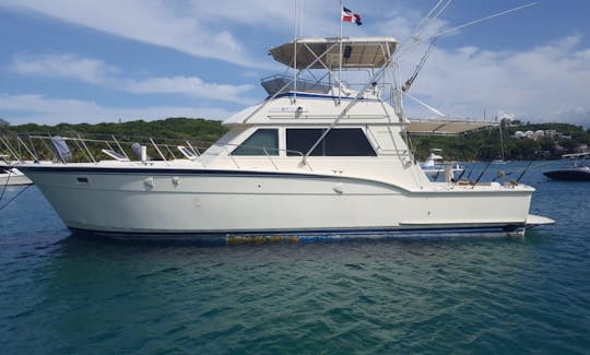 🤩🥳 Relaxing Cruise Yacht in Sosua 🤩🥳