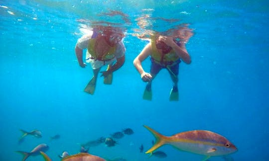 Snorkeling Cruise Charter in Puerto Plata