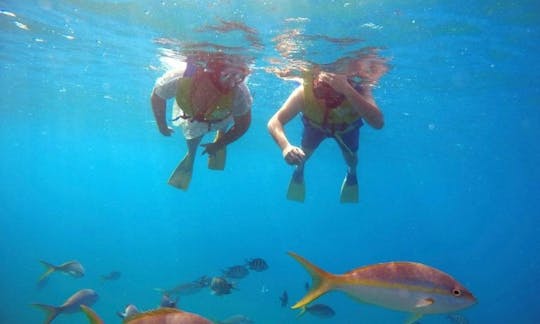🛥️🏝️ Aluguel de cruzeiro de mergulho com snorkel em Puerto Plata 🛥️🏝️