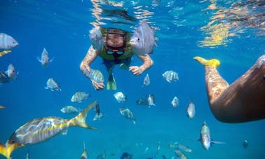 🛥️🏝️ Aluguel de cruzeiro de mergulho com snorkel em Puerto Plata 🛥️🏝️