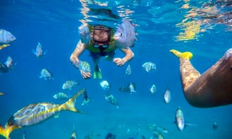 Snorkeling Cruise Charter in Puerto Plata