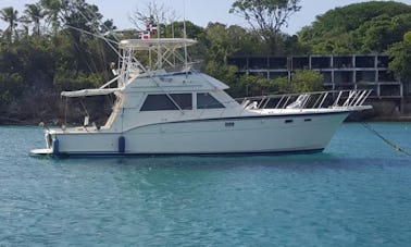 Sightseeing Tour in Puerto Plata on PRIVATE BOAT
