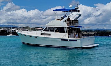 🛥️👙🥂 Faites la fête à bord de notre excursion en bateau privé à Puerto Plata 🛥️👙🥂