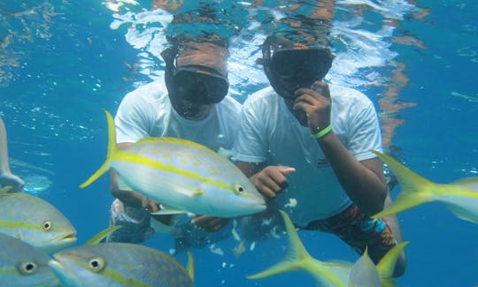 Barco de festa para fretamento diário privado em Puerto Plata