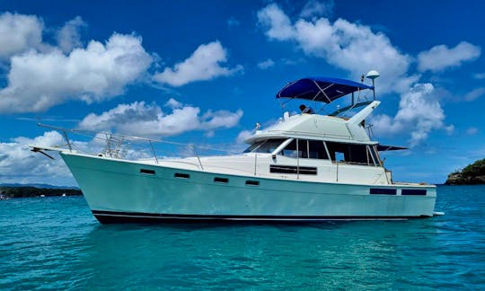 Party Boat for Daily Charter Private Puerto Plata
