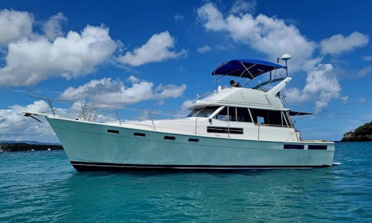 🏝️ 🎉 Party Boat for Daily Charter Private Puerto Plata🏝️ 🎉