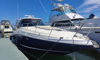 Enjoy Luxury Cruising the Coast onboard 45ft Sea Ray Motor Yacht in Laguna Beach California