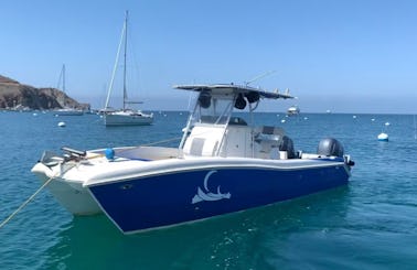 Personal Ferry!!!Coastal/Catalina Cruises on Power Cat! 40MPH + cruising speed! 