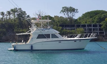 🤩🥳 Relaxing Cruise Yacht in Sosua 🤩🥳