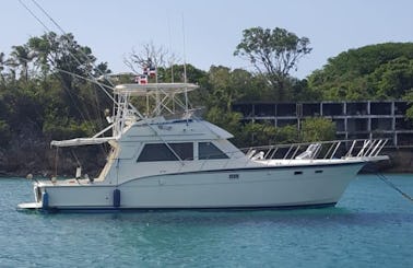 Relaxing Cruise Aboard 2019 Stephendecker Fishing Yacht in Sosúa