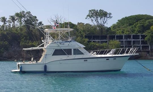 🤩🥳 Relaxing Cruise Yacht in Sosua 🤩🥳