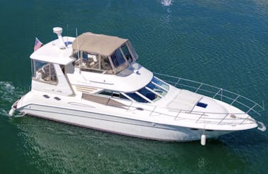 Private Yacht Experience Sea Ray 420 Sedan Bridge in Fort Lauderdale, Florida