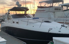40' SeaRay Motor Yacht in San Diego - Mission Bay