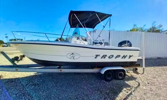 19ft Bayliner Trophy Center Console for rent in Norton Shores, Michigan