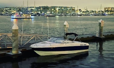 22’ Captained power boat for guided fishing trips in Marina del Rey