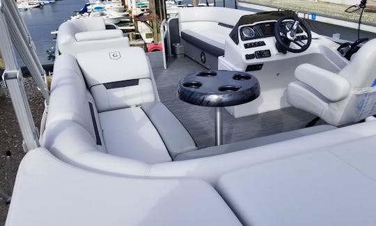 11 Passenger - 22ft comfortable Pontoon Boat for parties and sightseeing
