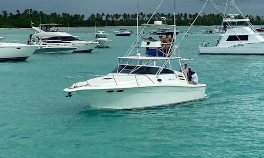 Private Yacht in La Romana, Casa De campo - Catalina - Saona Island or Palmillas